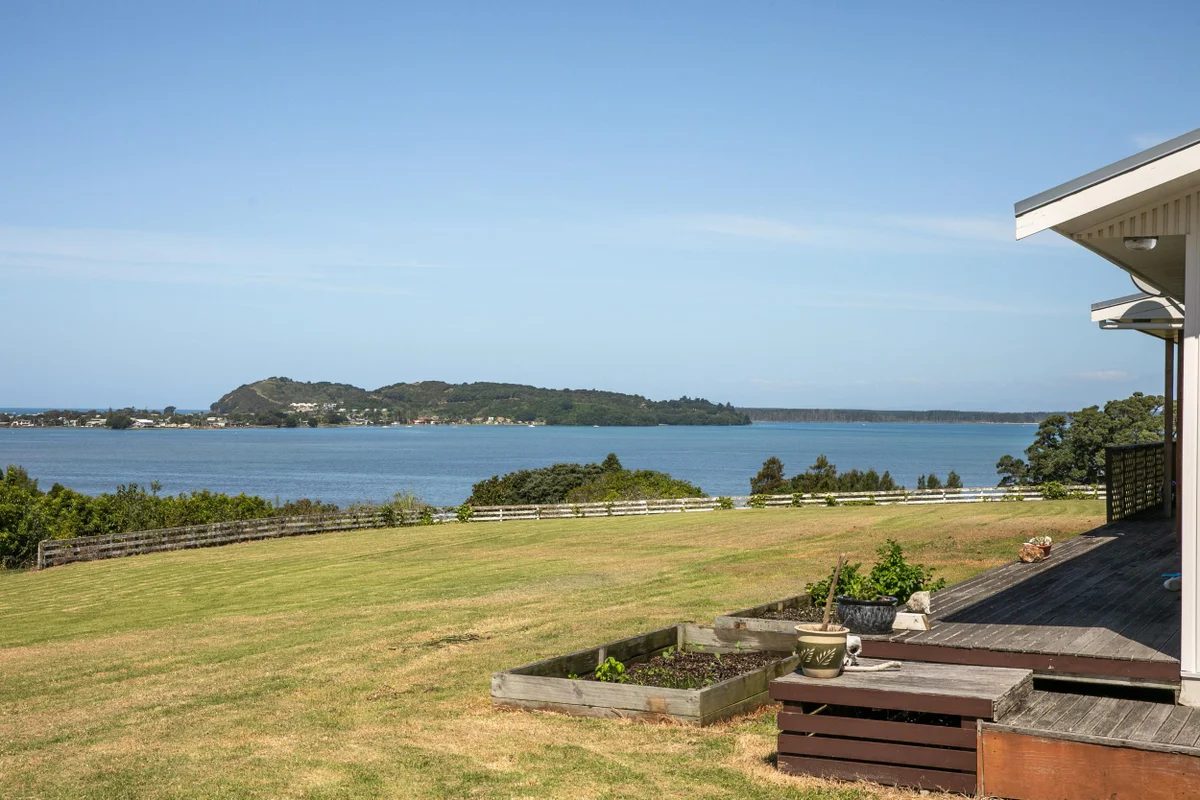 The estuary and island framed from the deck