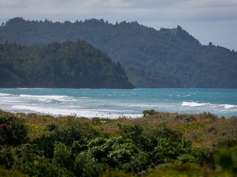 The curve of Waihi Beach toward the northern headland