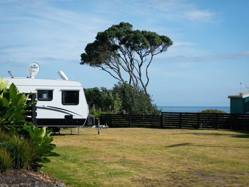 The site at ground level, ocean framed by pohutukawa and pine